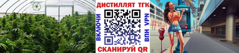 что такое Дербент Дистиллят ТГК вейп