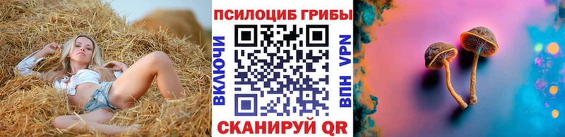 Псилоцибиновые грибы прущие грибы  где можно купить наркотик  Дербент 