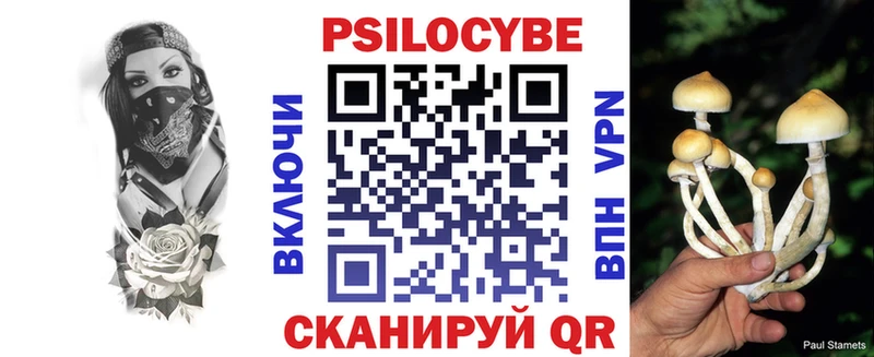 Галлюциногенные грибы прущие грибы Дербент
